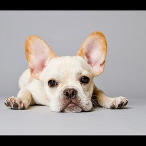 Meet your Posher, Wendy